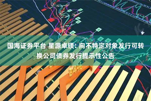 国海证券平台 星源卓镁: 向不特定对象发行可转换公司债券发行提示性公告