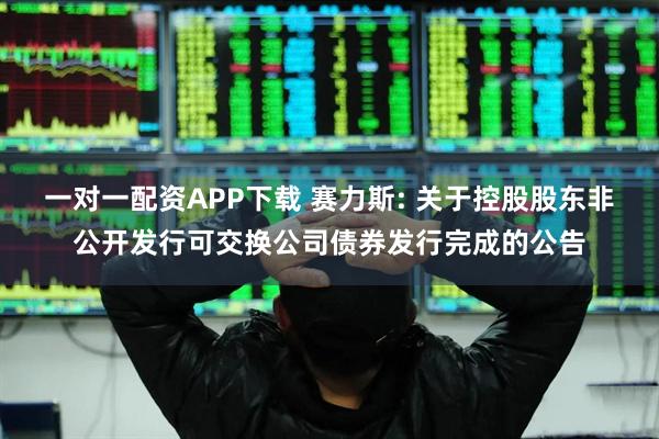 一对一配资APP下载 赛力斯: 关于控股股东非公开发行可交换公司债券发行完成的公告
