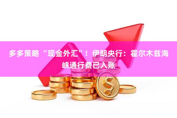 多多策略 “现金外汇”！伊朗央行：霍尔木兹海峡通行费已入账